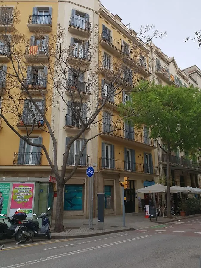 Cozy Flat With Unbeatable Views To Sagrada Familia Apartment Barcelona